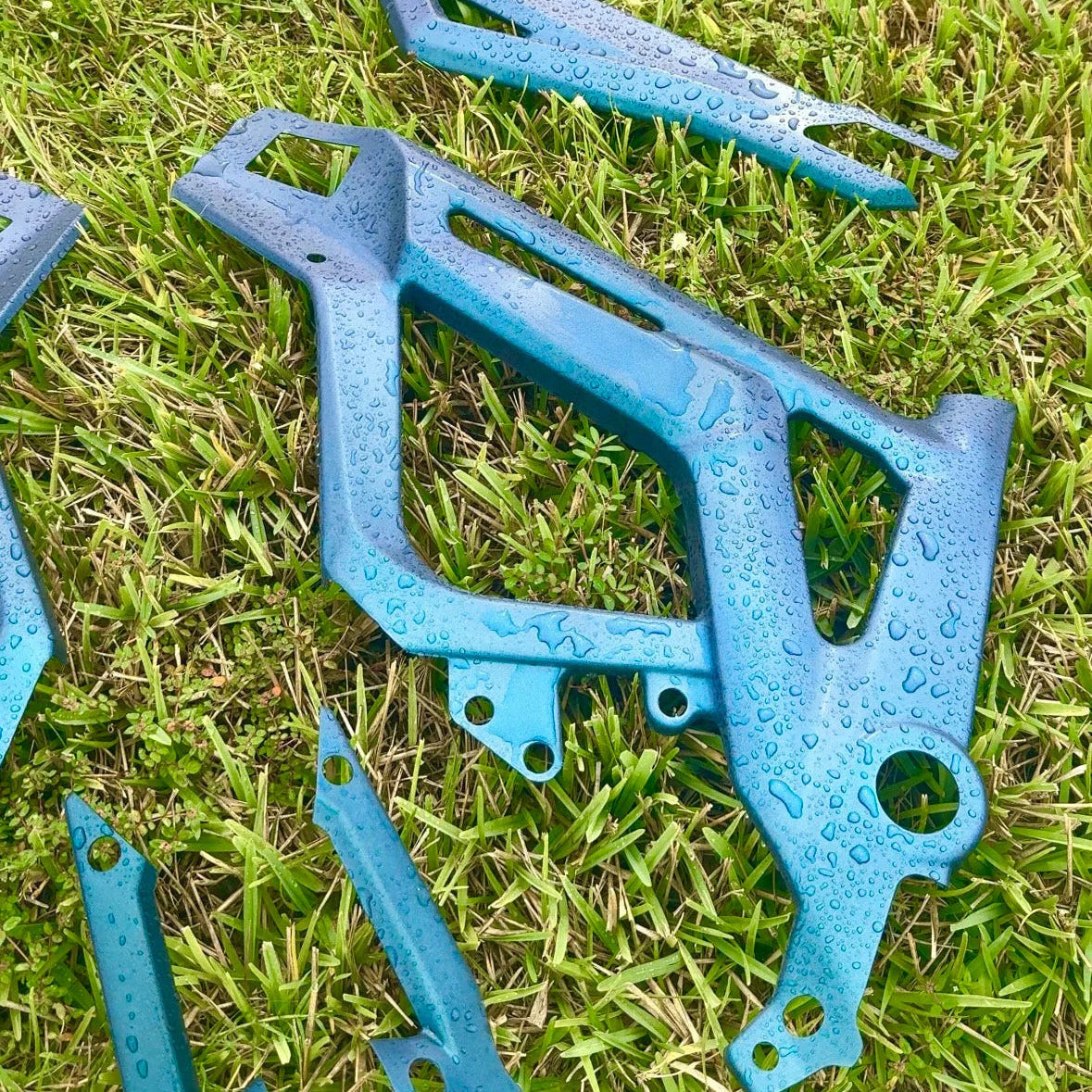 Talaria Sting Painted Frame guards